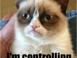 Cat Birthday Meme Generator Sad Birthday Cat Meme Generator Image Memes at Relatably Com