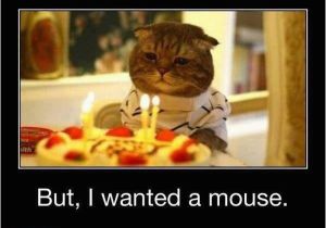 Cat Birthday Meme Generator Sad Birthday Cat Meme Generator Image Memes at Relatably Com