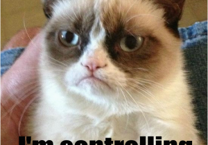 Cat Birthday Meme Generator Sad Birthday Cat Meme Generator Image Memes at Relatably Com