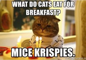 Cat Birthday Meme Generator What Do Cats Eat for Breakfast Mice Krispies Sad