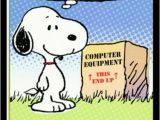 Charlie Brown Birthday Cards 1249 Best Images About Snoopy Gang Holidays On Pinterest