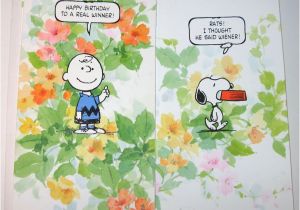 Charlie Brown Birthday Cards Peanuts Birthday Cards Collectpeanuts Com