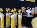 Charlie Brown Birthday Party Decorations Peanuts First Birthday Party Little Wish Parties