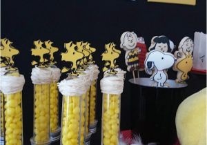 Charlie Brown Birthday Party Decorations Peanuts First Birthday Party Little Wish Parties