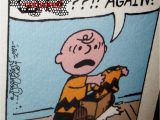 Charlie Brown Happy Birthday Quotes Charlie Brown Birthday Quotes Quotesgram