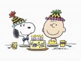 Charlie Brown Happy Birthday Quotes Peanuts Birthday Quotes Quotesgram