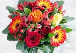 Cheap Birthday Flowers Delivered Cheap Flowers Under 20 Free Delivery Included Flying