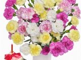 Cheap Birthday Flowers Delivery Birthday Flower Gift Cheap Flowers Delivery to Uk