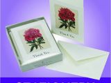 Cheap Boxed Birthday Cards Box Of Birthday Cards Elegant Wildcat wholesale Graphy Box