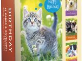 Cheap Boxed Birthday Cards wholesale Religious Boxed Cards with Scripture Birthday