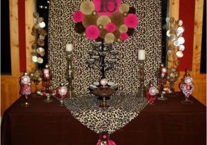 Cheetah Birthday Decorations Leopard and Hot Pink Sweet 16 Birthday Party Ideas Photo