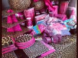 Cheetah Birthday Party Decorations Hot Pink and Leopard Print Baby Shower I Want to Know