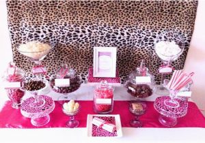 Cheetah Print Birthday Decorations Brown Pink Cheetah Print Birthday Party Ideas Cheetah