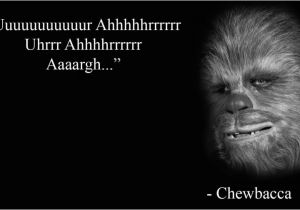 Chewbacca Birthday Meme Chewbacca Meme Hd Wallpaper No 1 Hd Star Wars