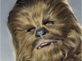 Chewbacca Birthday Meme Happy Birthday Kristina Happy Birthday Chewbacca