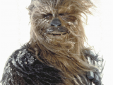 Chewbacca Birthday Meme May the Fourth Be with You E Cards to Share