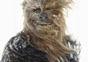 Chewbacca Birthday Meme May the Fourth Be with You E Cards to Share