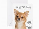 Chihuahua Birthday Cards Chihuahua Birthday Card by Shopdoggifts