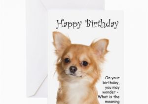 Chihuahua Birthday Cards Chihuahua Birthday Card by Shopdoggifts