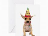 Chihuahua Birthday Cards Chihuahua Birthday Greeting Card by Cafepets
