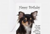 Chihuahua Birthday Cards Chihuahua Greeting Cards Card Ideas Sayings Designs