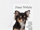 Chihuahua Birthday Cards Chihuahua Greeting Cards Card Ideas Sayings Designs