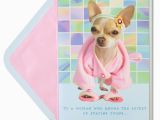 Chihuahua Birthday Cards Chihuahua In Robe Slippers Funny Birthday Cards Papyrus