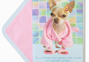 Chihuahua Birthday Cards Chihuahua In Robe Slippers Funny Birthday Cards Papyrus