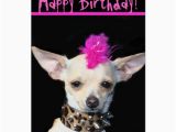 Chihuahua Birthday Cards Happy Birthday Chihuahua Punk Greeting Card Zazzle Com