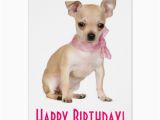 Chihuahua Birthday Cards Happy Birthday Chihuahua Puppy Dog Greeting Card Zazzle Com