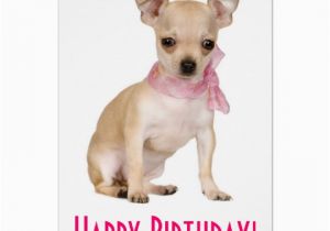 Chihuahua Birthday Cards Happy Birthday Chihuahua Puppy Dog Greeting Card Zazzle Com