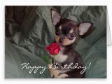 Chihuahua Birthday Cards Happy Birthday Wishes with Dog Page 10