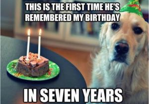 Clean Birthday Memes 144 Best Images About Clean Memes On Pinterest Funny