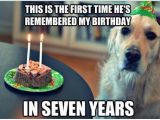 Clean Funny Birthday Memes 144 Best Images About Clean Memes On Pinterest Funny