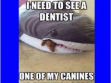 Clean Funny Birthday Memes See Dentist Clean Memes Funny Memes