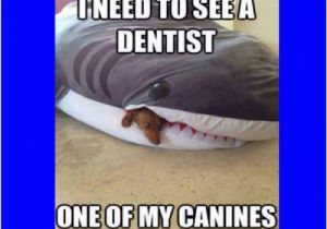 Clean Funny Birthday Memes See Dentist Clean Memes Funny Memes