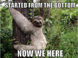 Clean Funny Birthday Memes Sloth Slothmeme Sloth Memes Sloth Cute Sloth Sloth