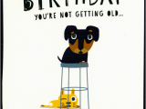 Comedy Birthday Cards Funny Birthday Cards Comedy Card Company