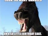 Cool Birthday Memes 25 Really Cool Birthday Memes to Send to Your Loved Ones