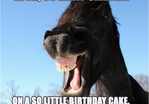 Cool Birthday Memes 25 Really Cool Birthday Memes to Send to Your Loved Ones