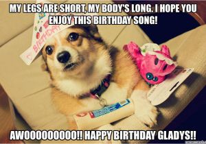 Corgi Birthday Meme Birthday Corgi