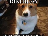 Corgi Birthday Meme Nancy Corgi I Don 39 T Always Say Happy Birthday On Memegen