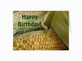 Corny Birthday Cards Corny Birthday Card Zazzle