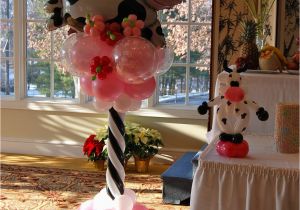 Cow Birthday Decorations Lauren 39 S Cow themed 1st Birthday Party Balloon Decor