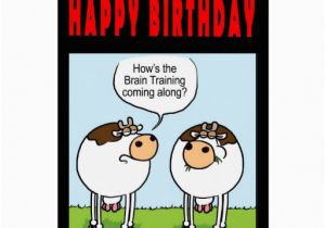 Cow Birthday Meme Angry Cow Meme Birthday Pictures to Pin On Pinterest