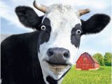 Cow Birthday Meme Gogglies 3d Moving Eyes Funny Cow Moo Ving House Card 1stp