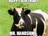 Cow Birthday Meme Happy Birthday Husband Memes Wishesgreeting