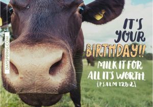 Cow Happy Birthday Meme 21 Best Happy Birthday Images On Pinterest Happy