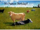 Cow Happy Birthday Meme Angry Cow Meme Birthday Pictures to Pin On Pinterest