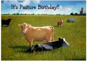 Cow Happy Birthday Meme Angry Cow Meme Birthday Pictures to Pin On Pinterest